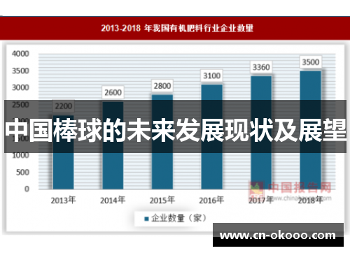 中国棒球的未来发展现状及展望